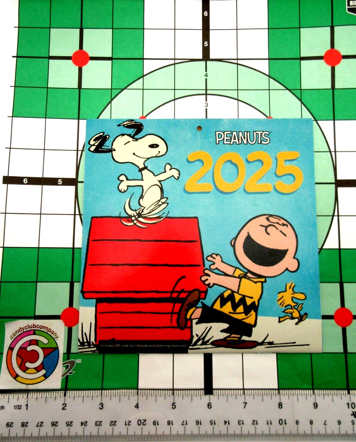 2025 Peanuts Charlie Brown Calendar