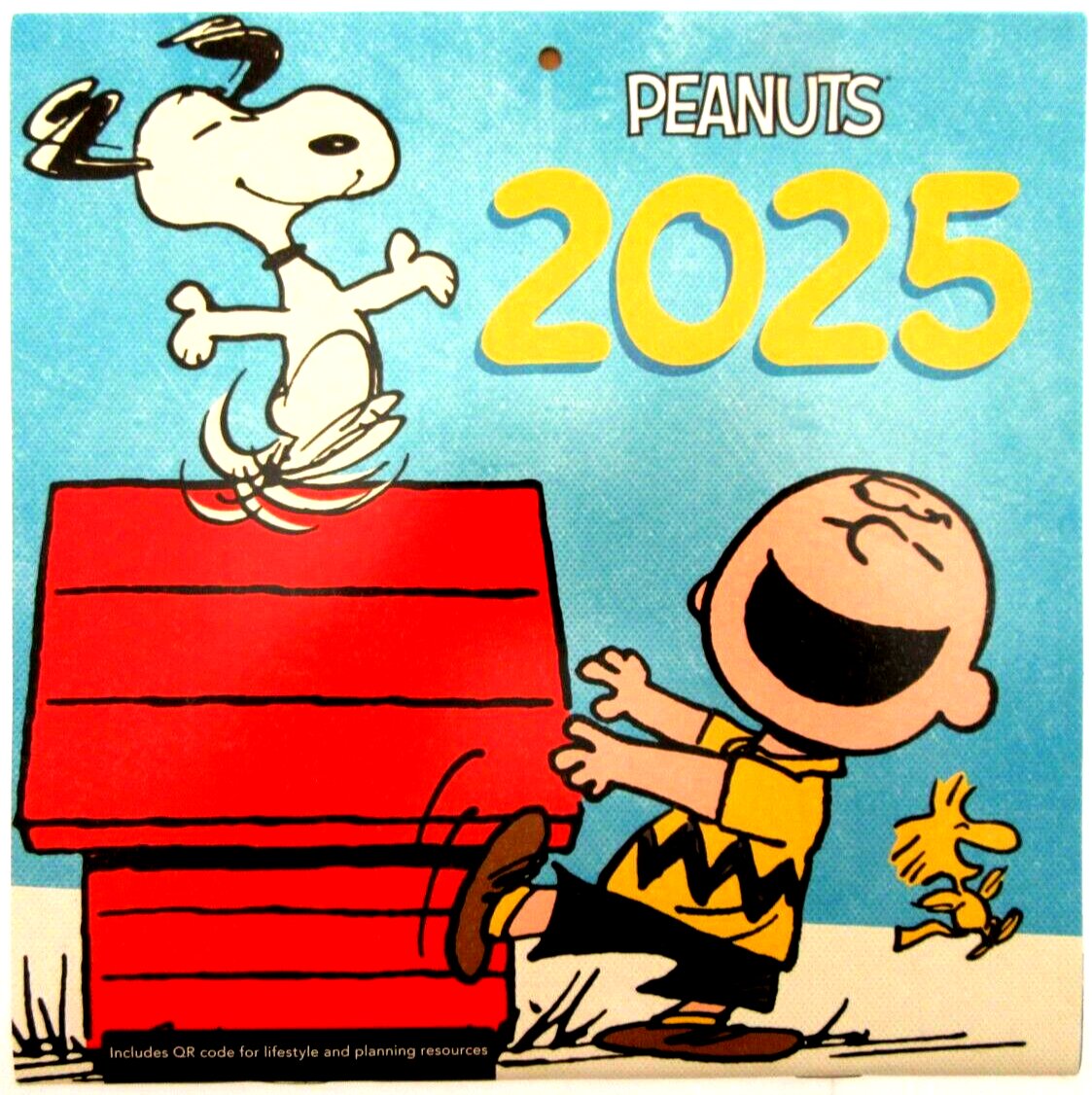 2025 Peanuts Charlie Brown Calendar