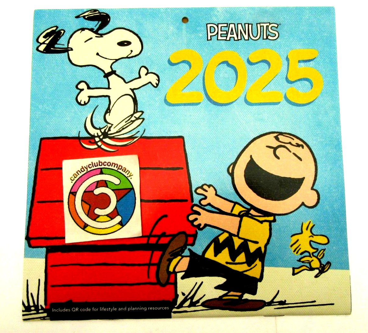 2025 Peanuts Charlie Brown Calendar