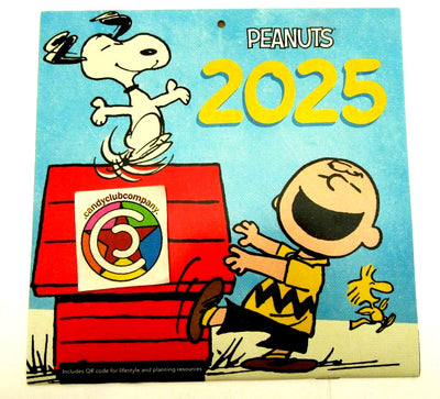 2025 Peanuts Charlie Brown Calendar